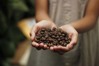 4 fazendas de café brasileiras cheias de memória, qualidade e história